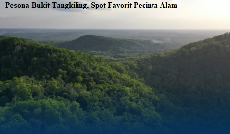 Bukit Tangkiling