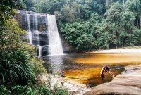Air Terjun Riam Dait
